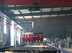 龙门式电泳线［8］